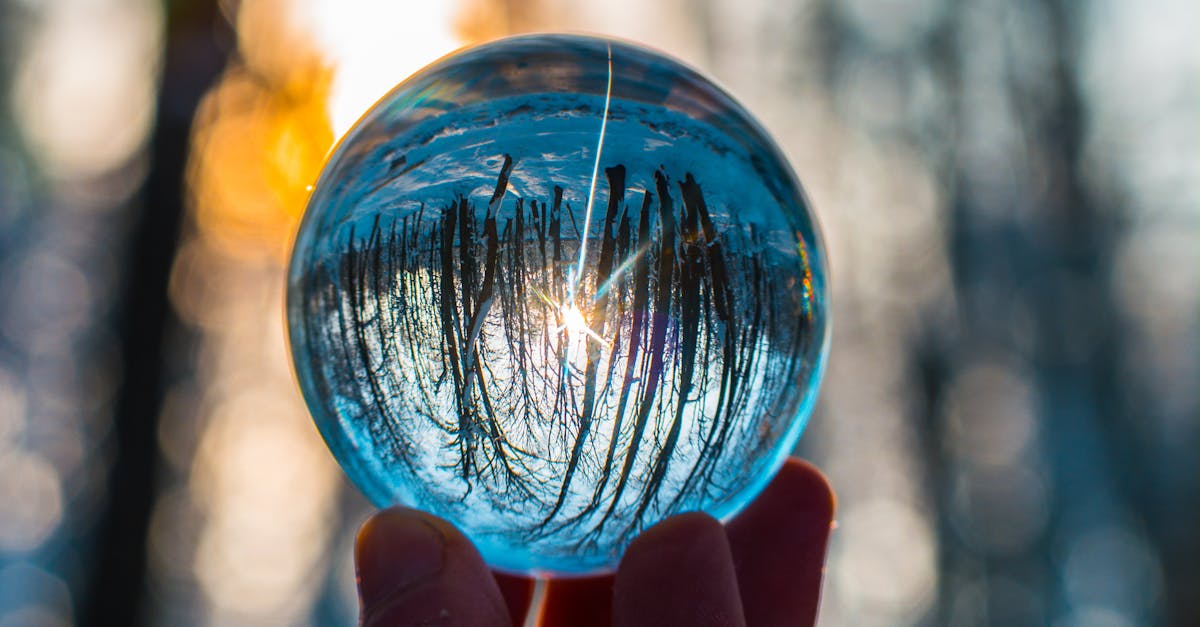 A hand holds a crystal ball reflecting a forest at sunset, showcasing a magical and reflective nature scene.